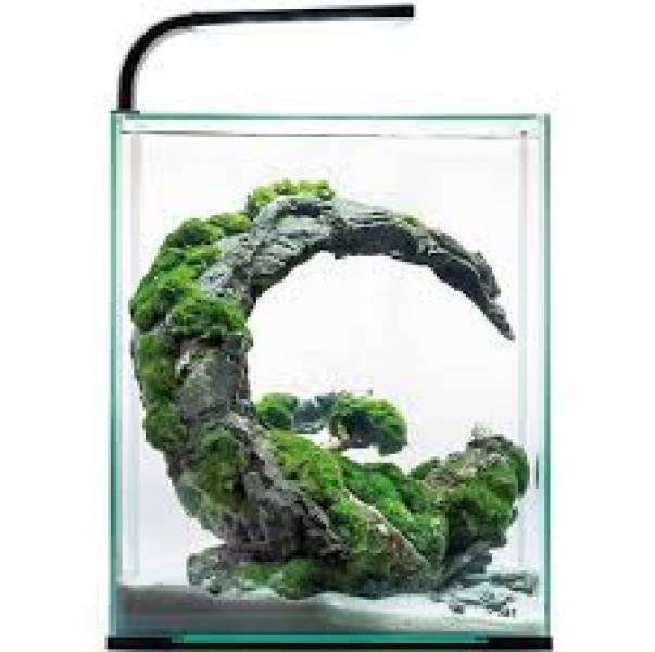 Aquael Shrimp Set Day & Night 20 - 25x25x30 cm, 19 Liter (2.0)